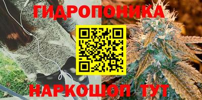 гашик Бузулук