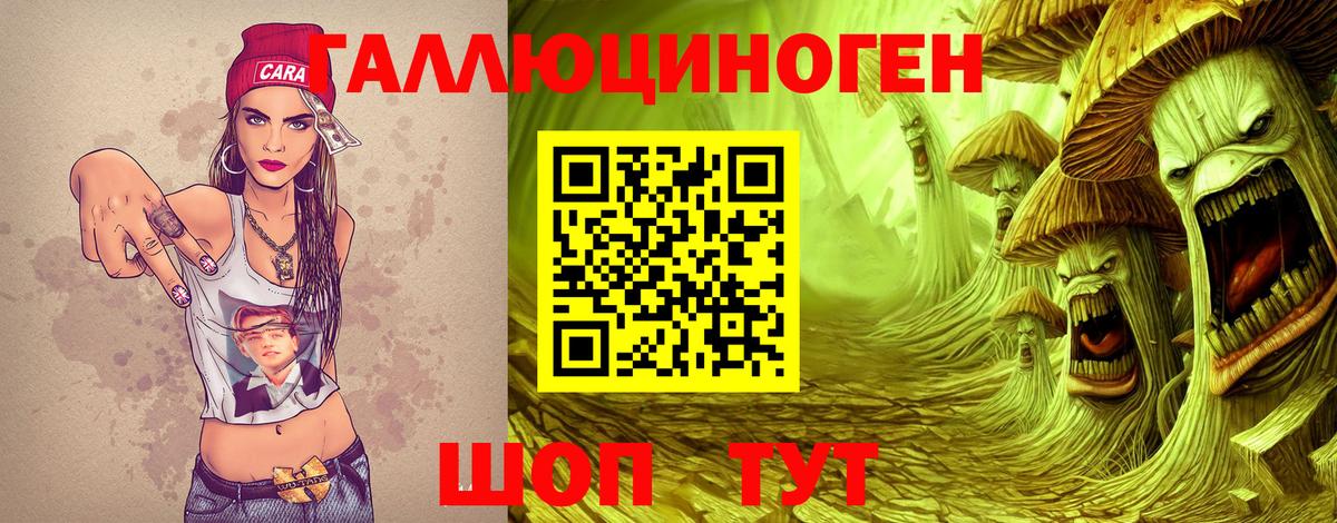 Галлюциногенные грибы прущие грибы  Вход с VPN  Псилоцибиновые грибы Psilocybe  закладка  Ставрополь 